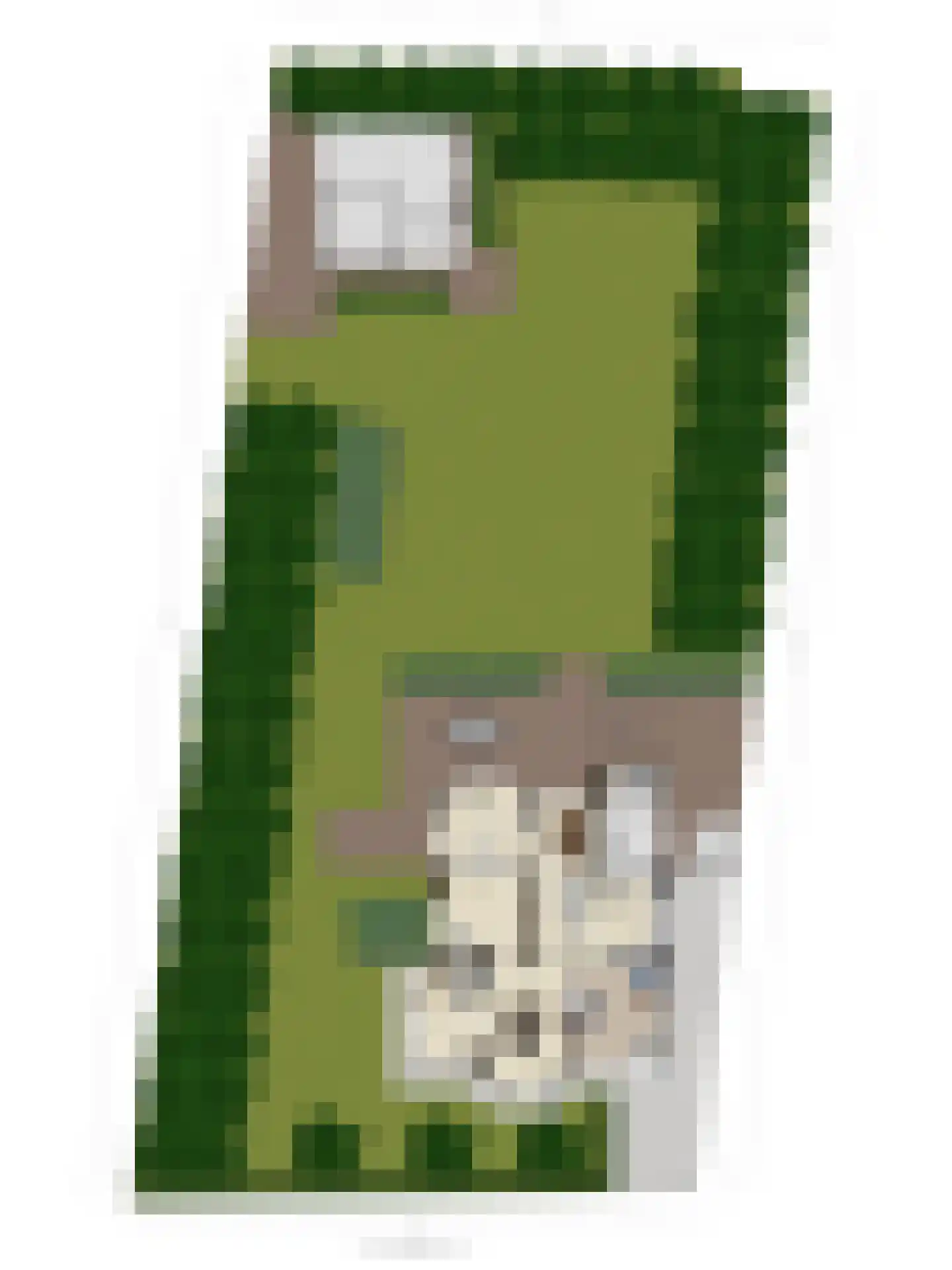 Grundellaan 19 Hengelo thumbnail 62