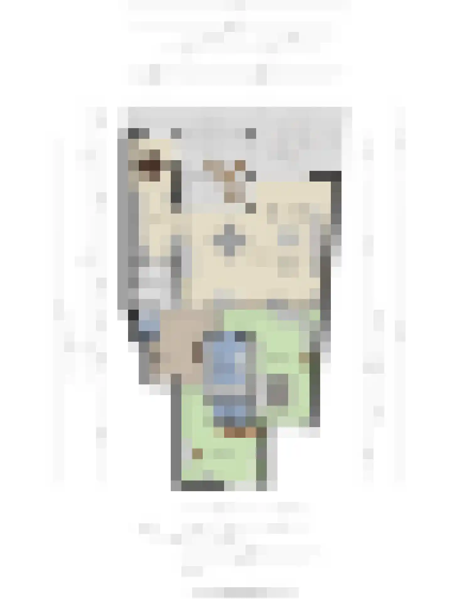 Grundellaan 53 Hengelo thumbnail 39