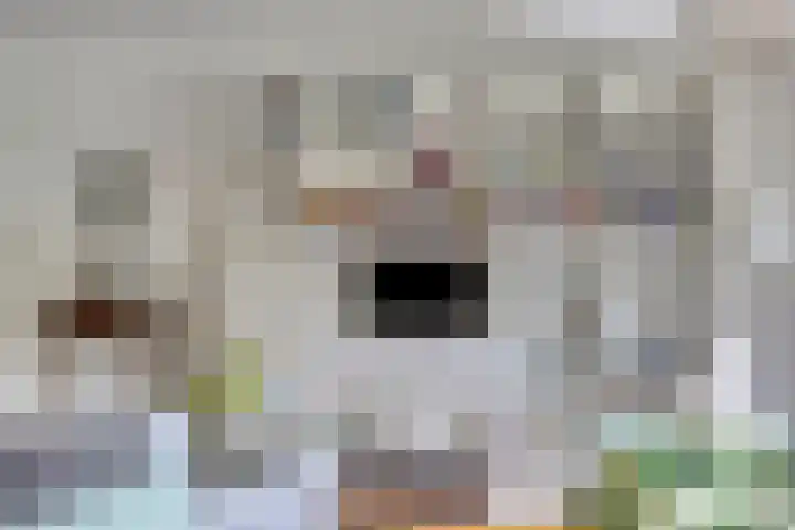 Grundellaan 69 Hengelo thumbnail 20