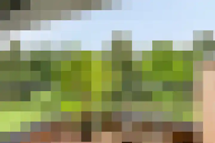 Grundellaan 69 Hengelo thumbnail 36