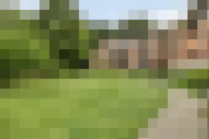 Grundellaan 69 Hengelo thumbnail 39