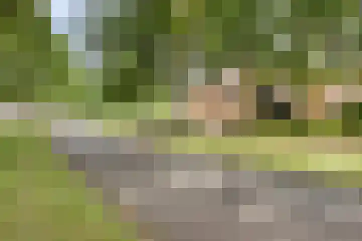 Grundellaan 69 Hengelo thumbnail 40