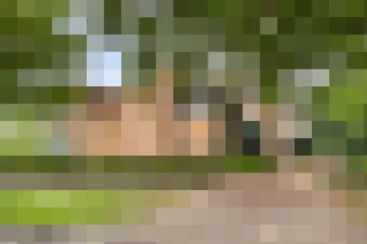 Grundellaan 69 Hengelo thumbnail 41