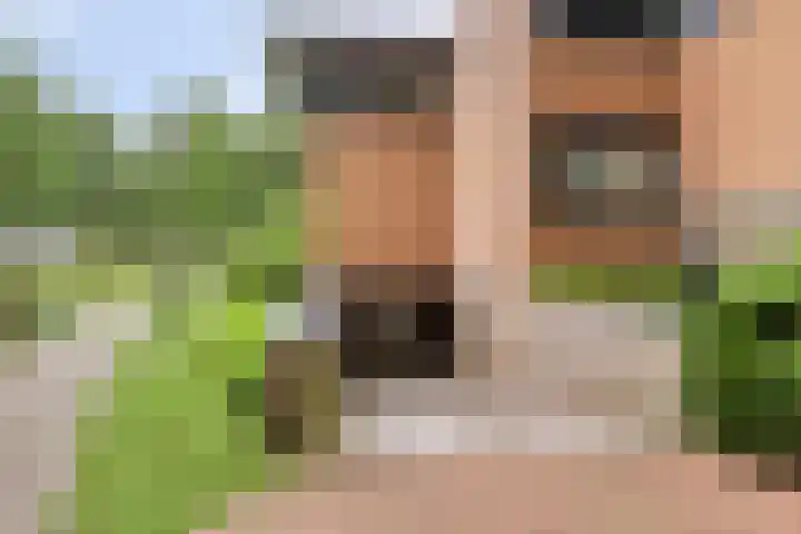 Grundellaan 69 Hengelo thumbnail 5