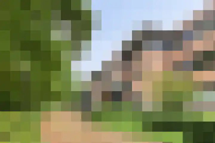 Grundellaan 69 Hengelo thumbnail 7