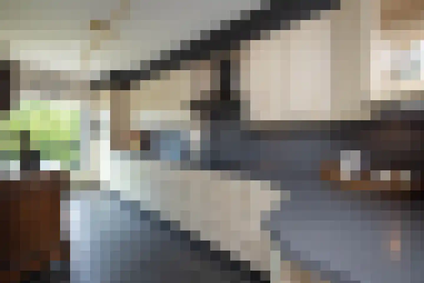 Grundellaan 81 Hengelo thumbnail 10