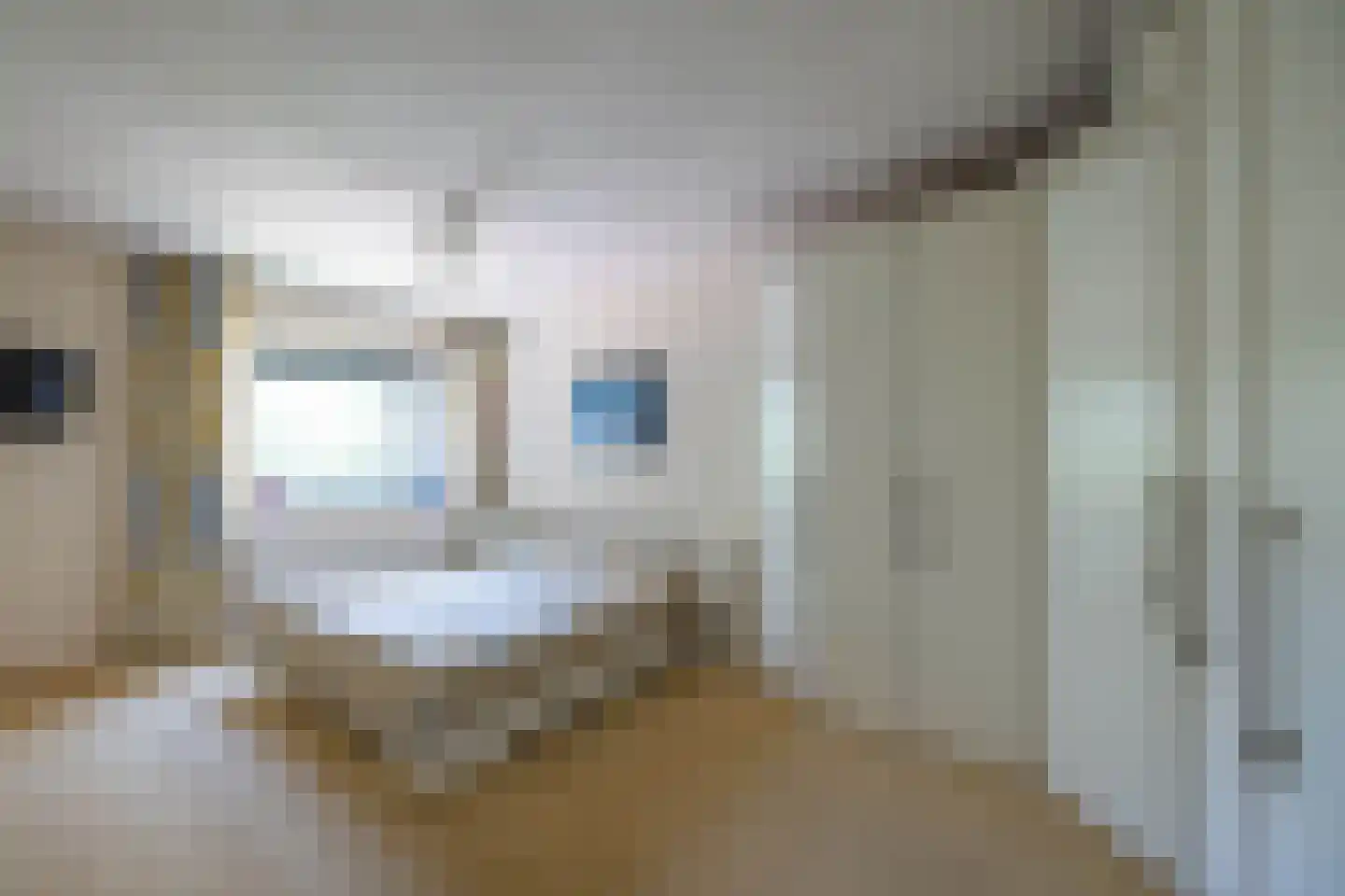 Grundellaan 81 Hengelo thumbnail 21