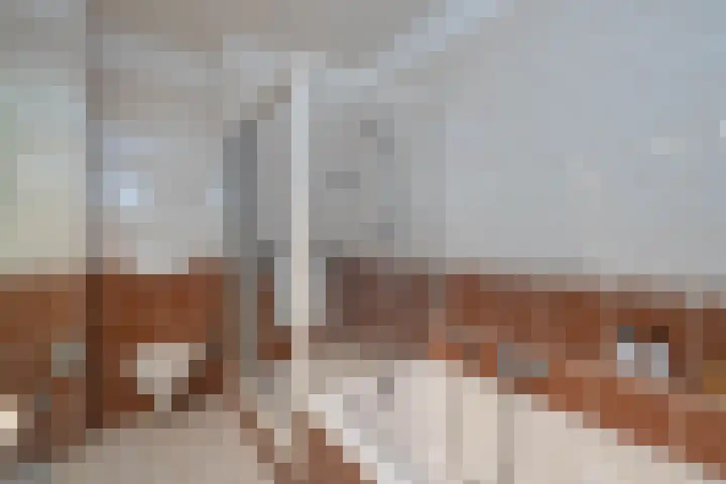 Grundellaan 81 Hengelo thumbnail 25