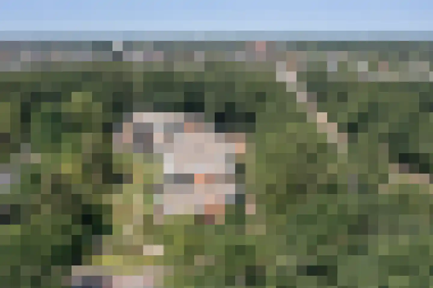 Grundellaan 81 Hengelo thumbnail 46