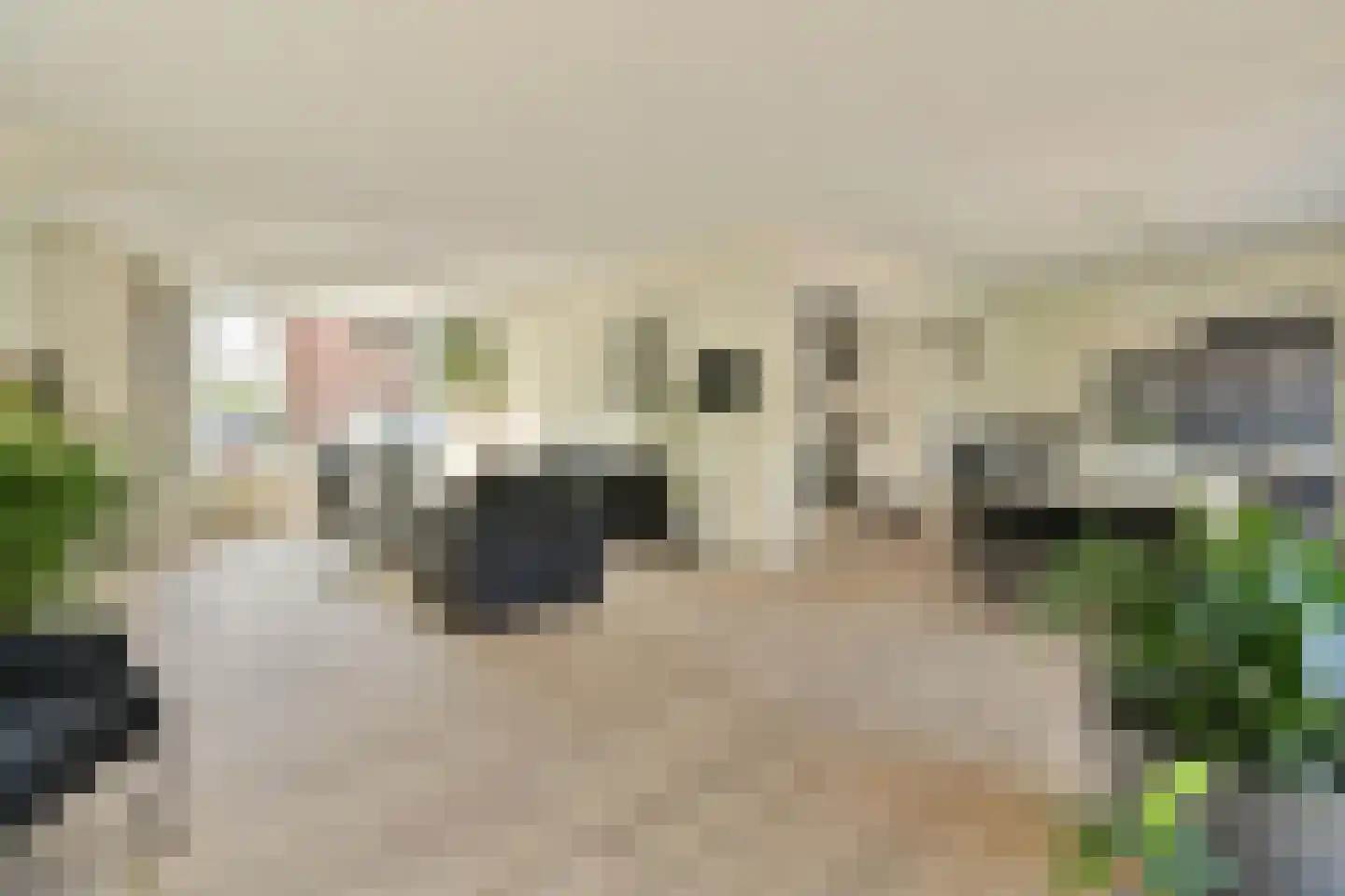 Grundelstraat 17 Lisse thumbnail 11