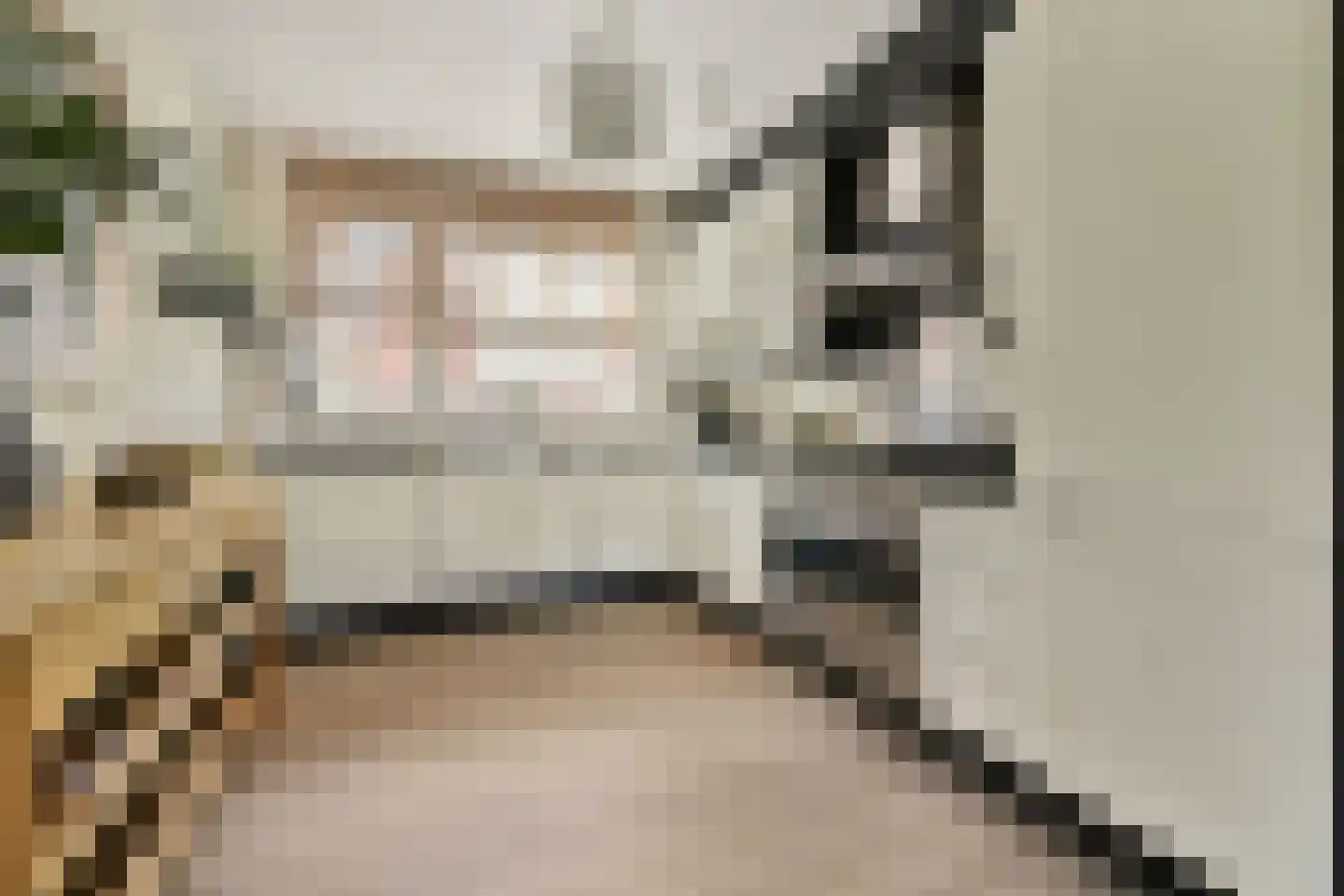 Grundelstraat 17 Lisse thumbnail 13