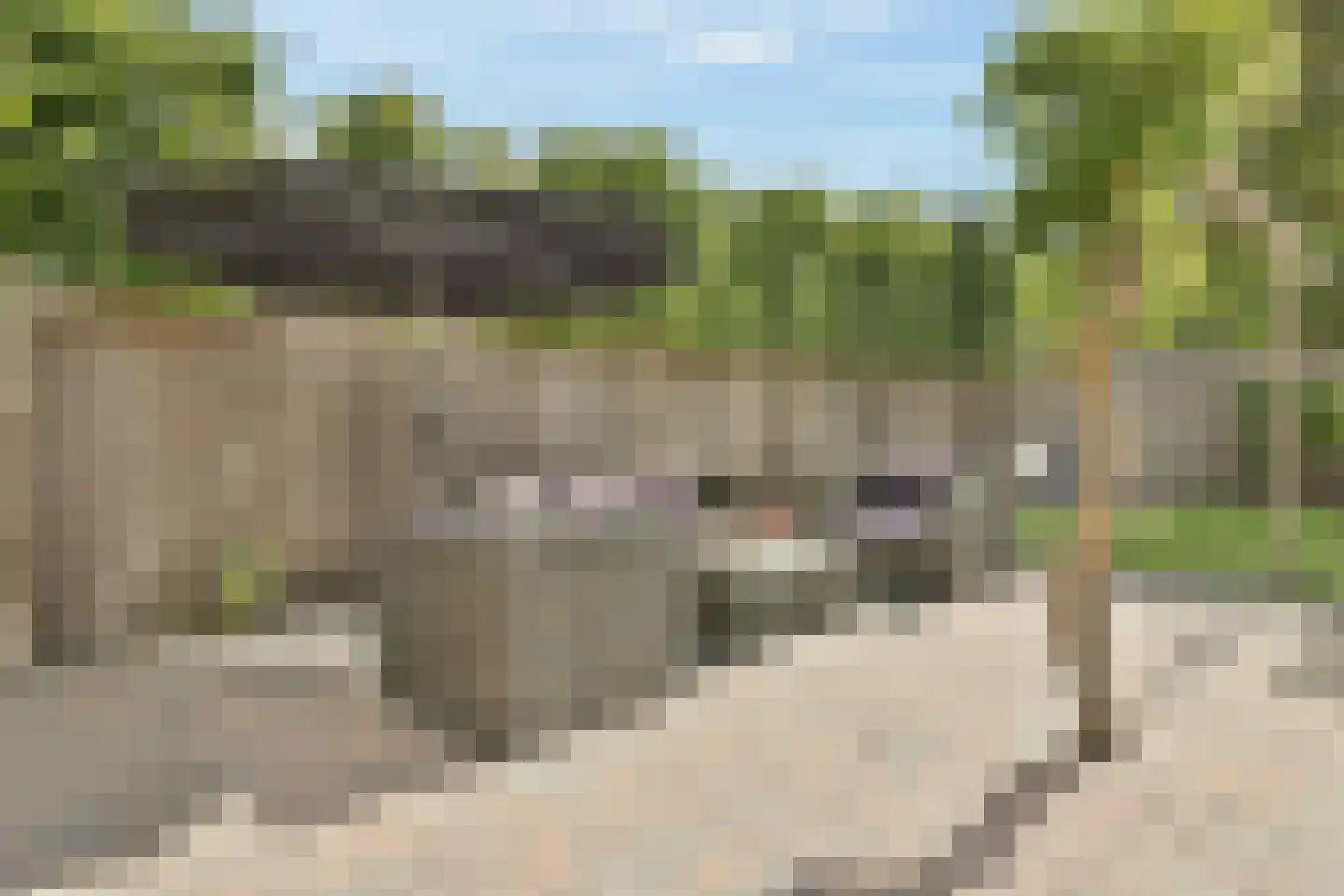 Grundelstraat 17 Lisse thumbnail 17