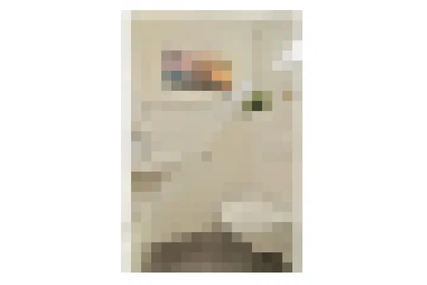 Grundelstraat 17 Lisse thumbnail 22