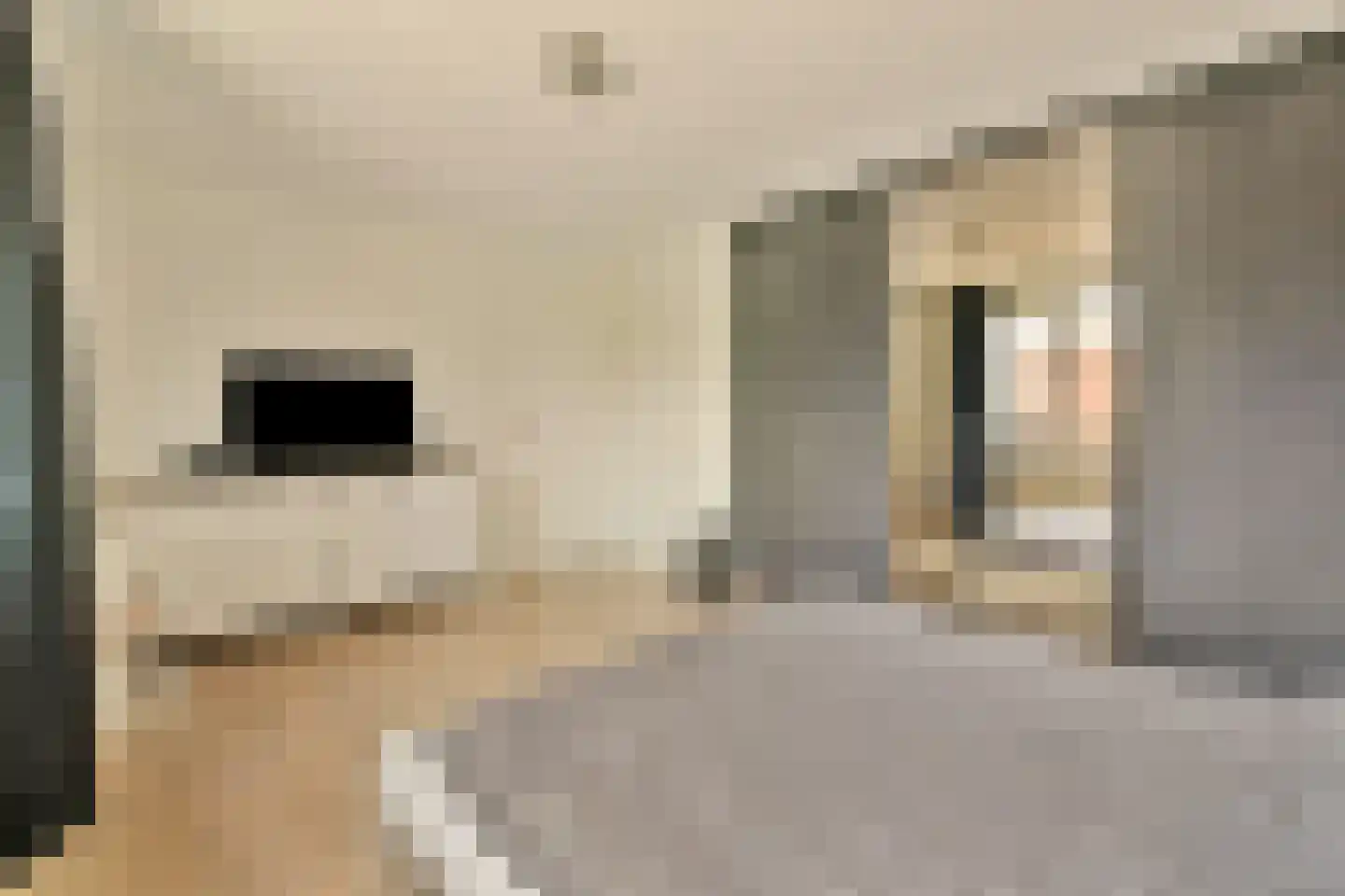 Grundelstraat 17 Lisse thumbnail 25
