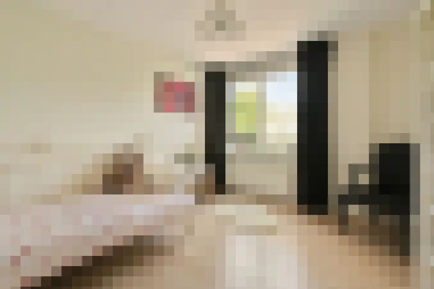 Grundelstraat 17 Lisse thumbnail 30