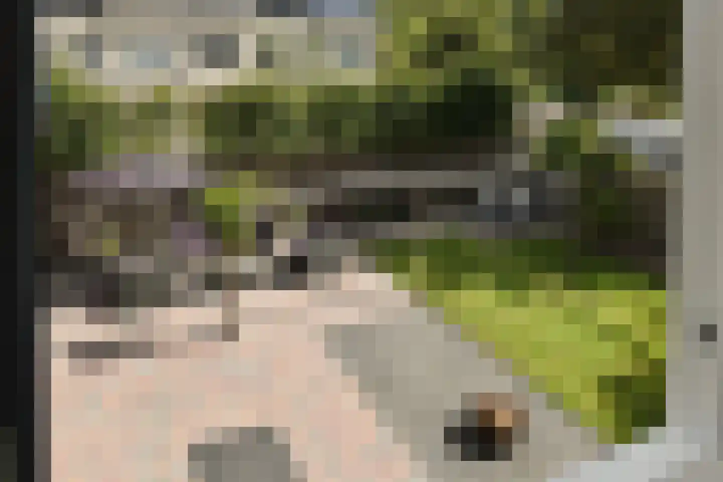 Grundelstraat 17 Lisse thumbnail 32