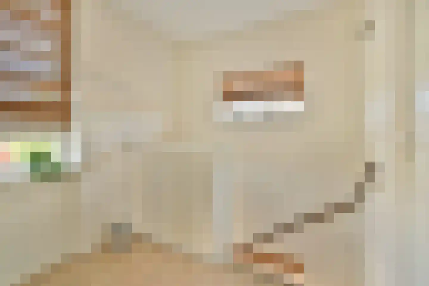 Grundelstraat 17 Lisse thumbnail 37