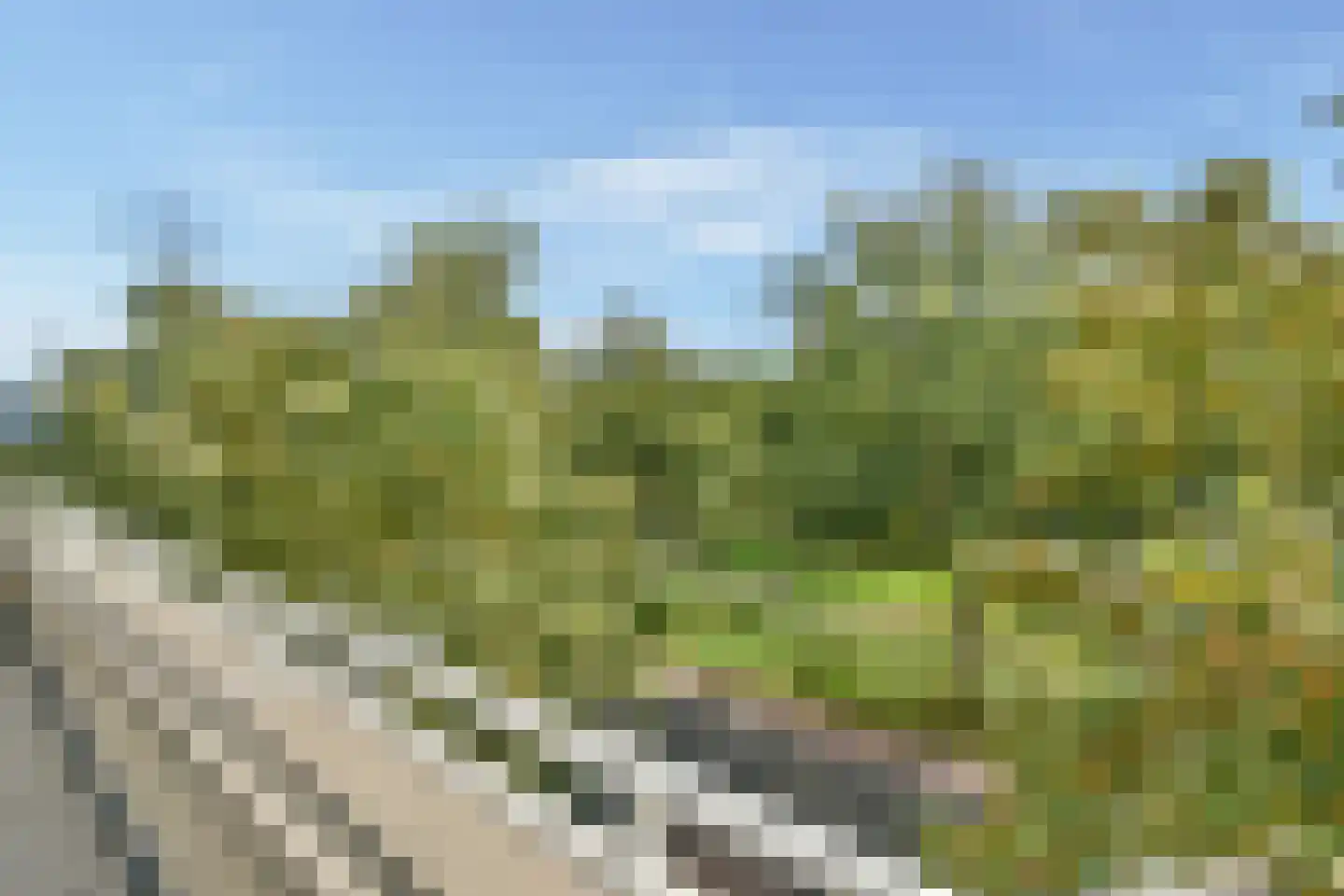 Grundelstraat 17 Lisse thumbnail 44