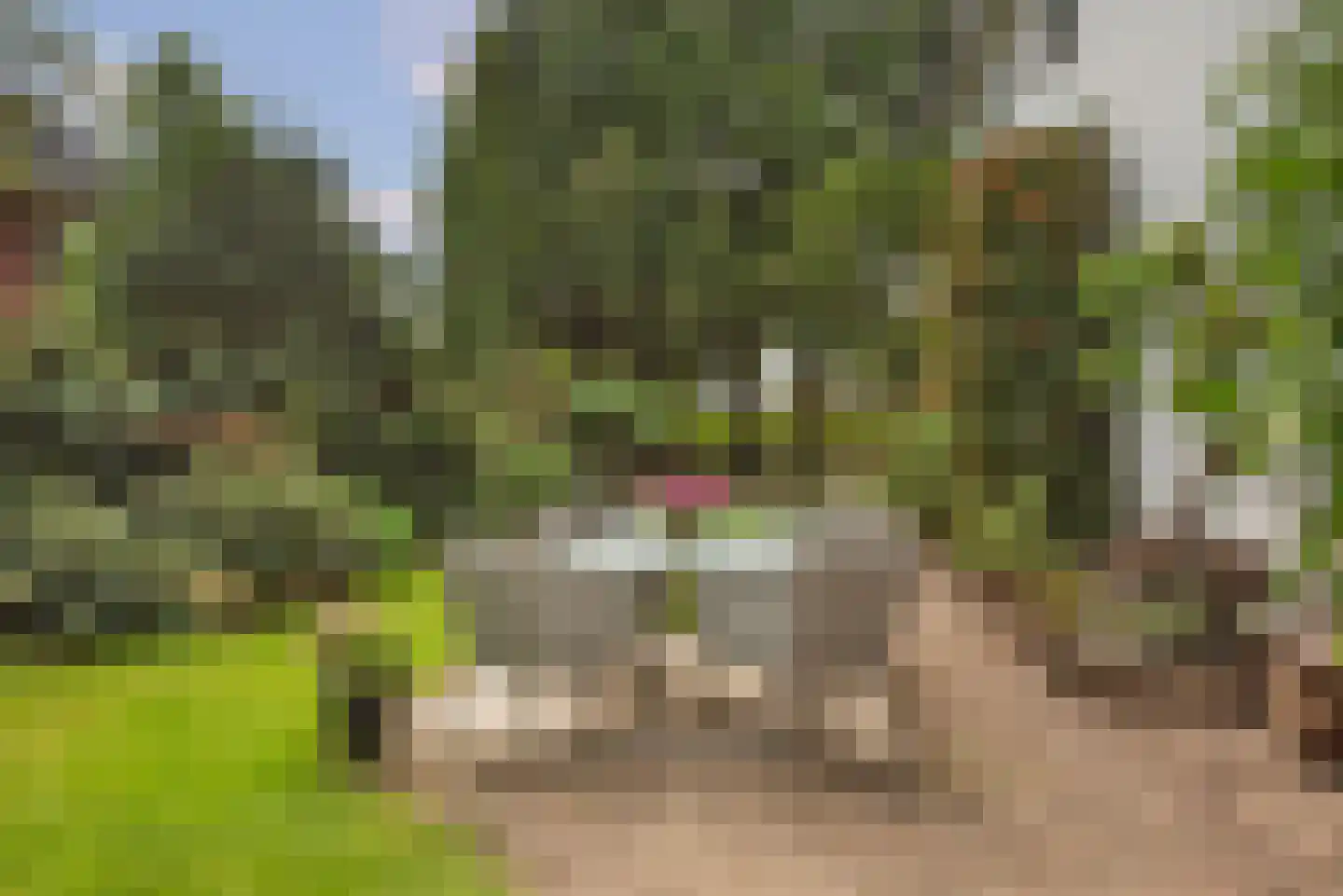 Grundelweg 11 Hengelo thumbnail 60