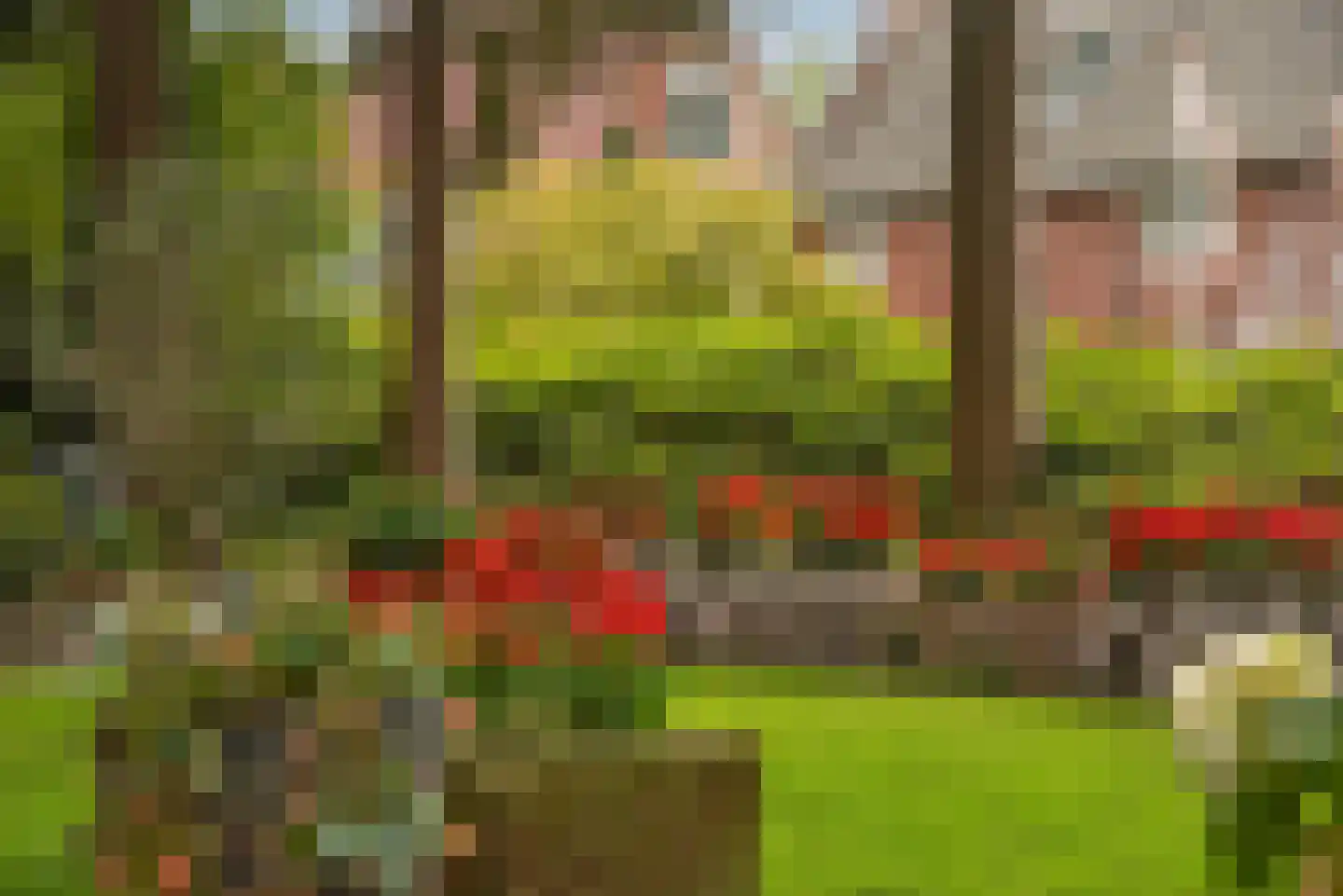 Grundelweg 11 Hengelo thumbnail 62