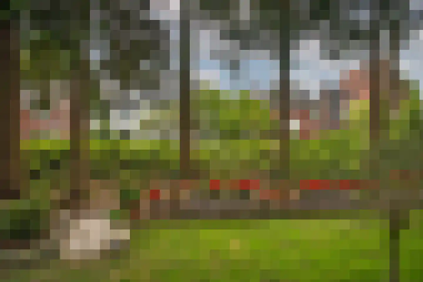 Grundelweg 11 Hengelo thumbnail 64