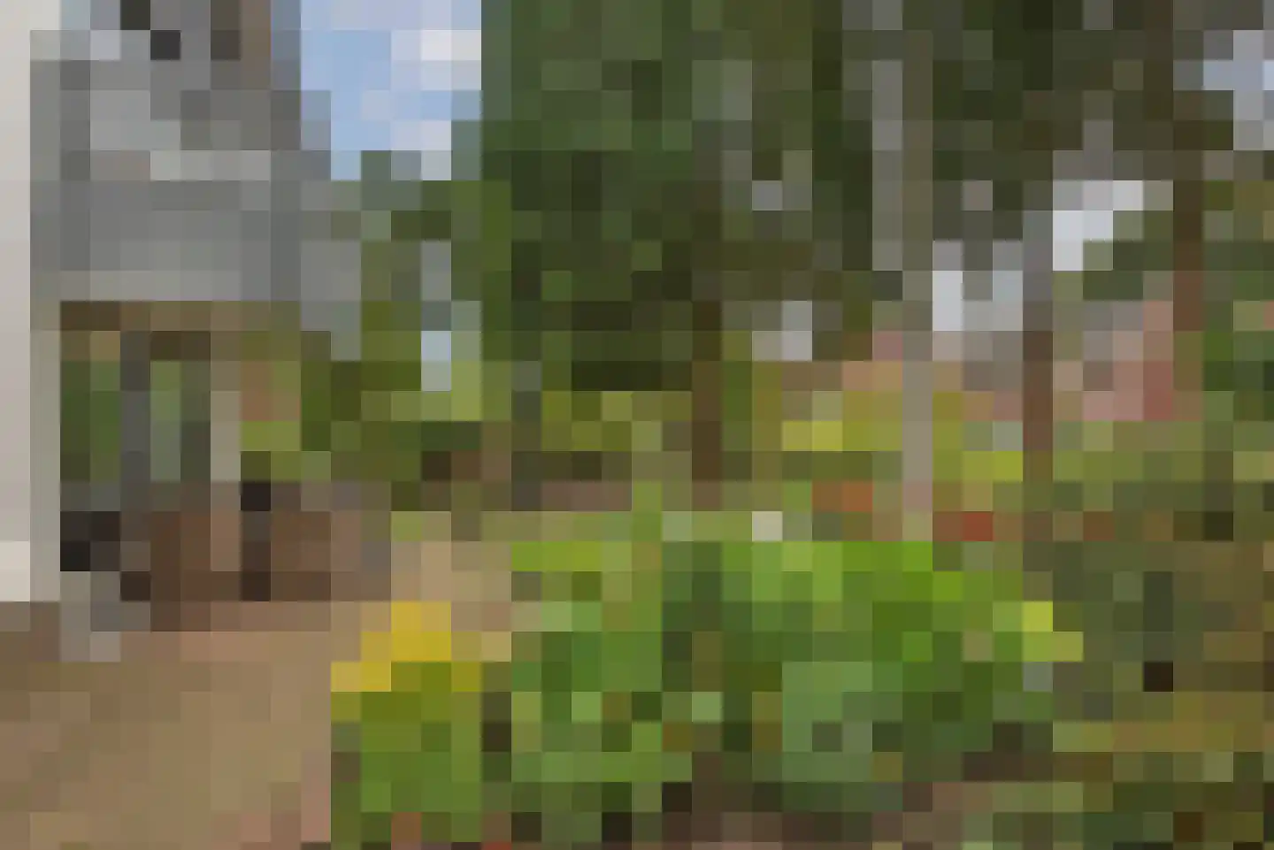 Grundelweg 11 Hengelo thumbnail 65