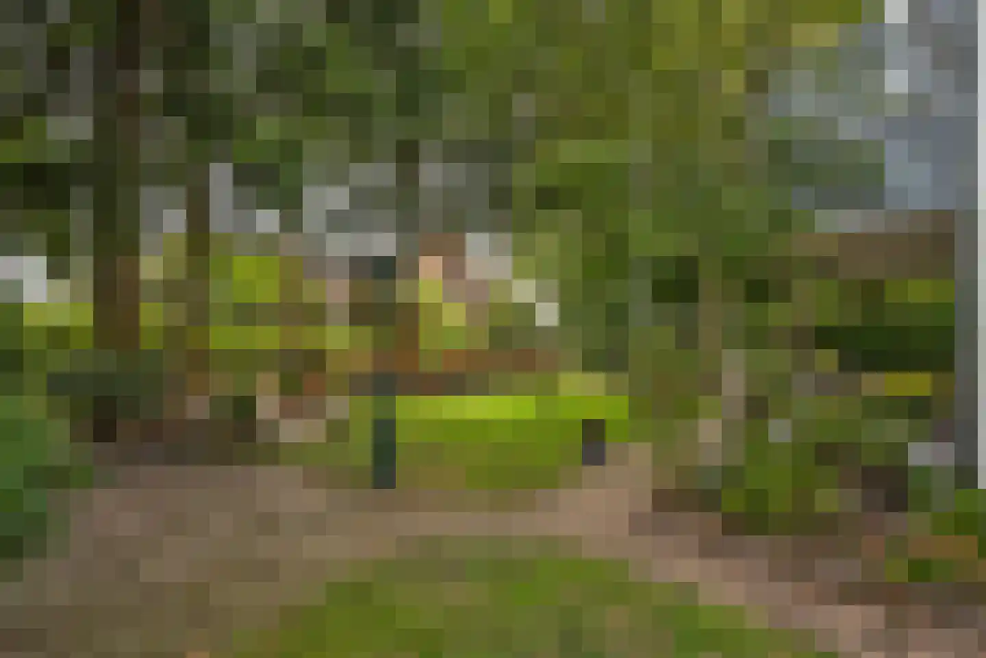 Grundelweg 11 Hengelo thumbnail 66