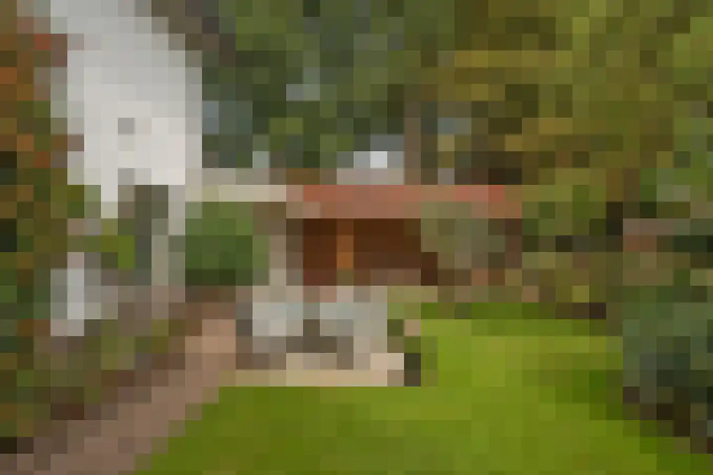 Grundelweg 11 Hengelo thumbnail 67