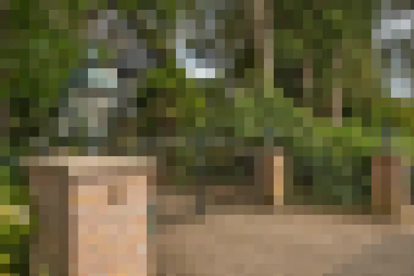 Grundelweg 11 Hengelo thumbnail 7
