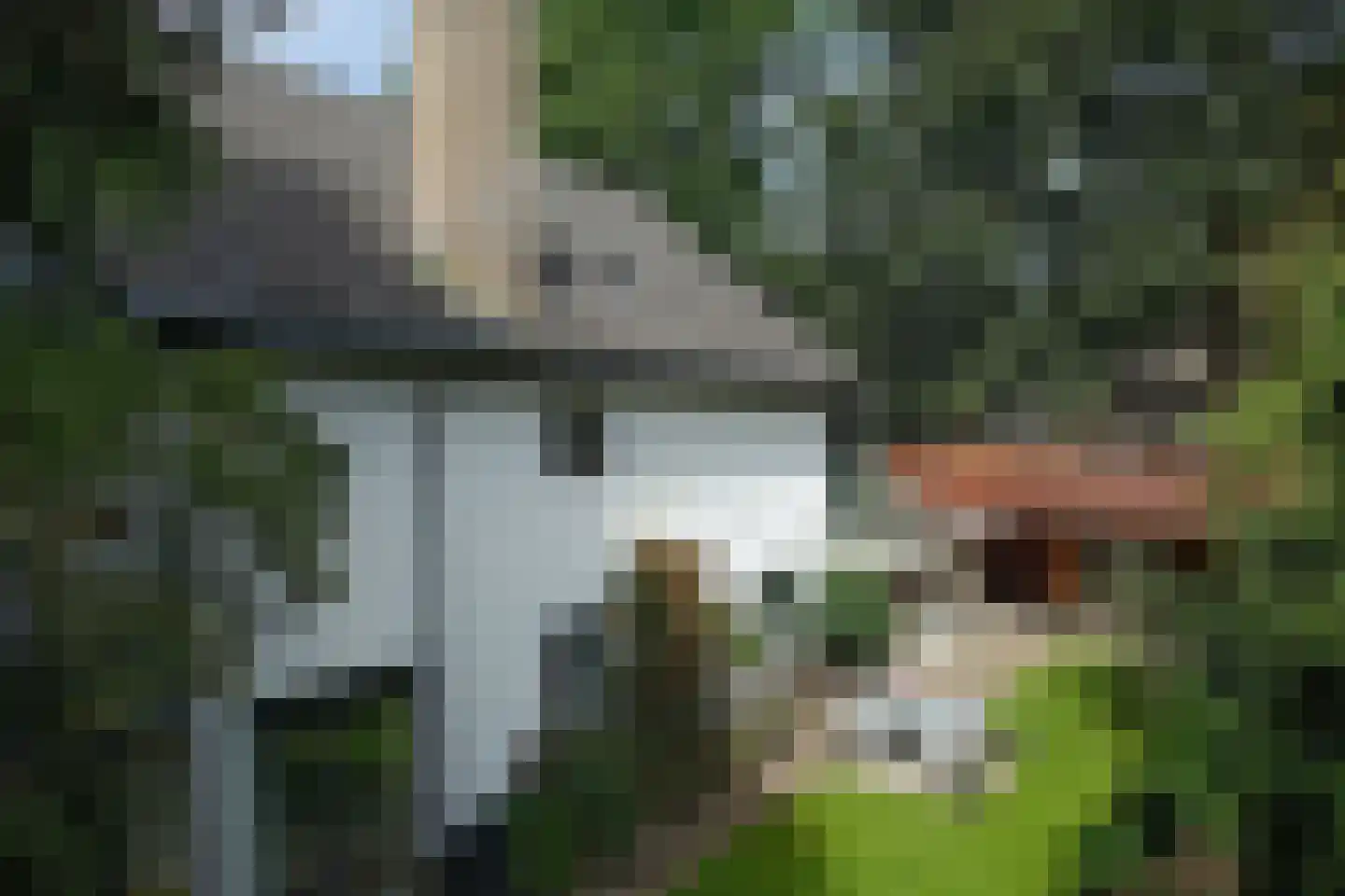 Grundelweg 11 Hengelo thumbnail 72
