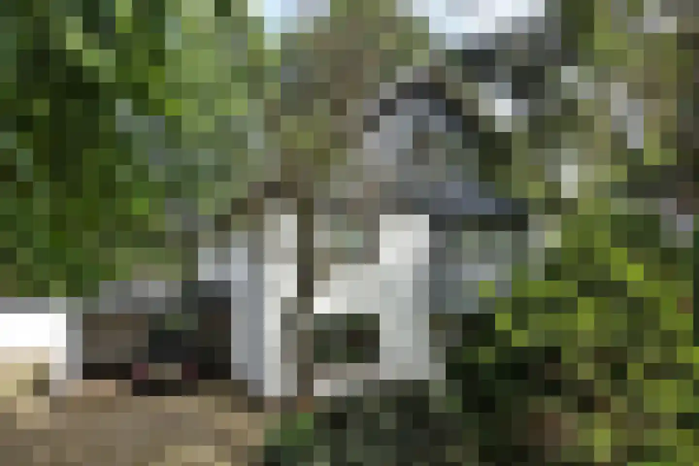 Grundelweg 11 Hengelo thumbnail 73