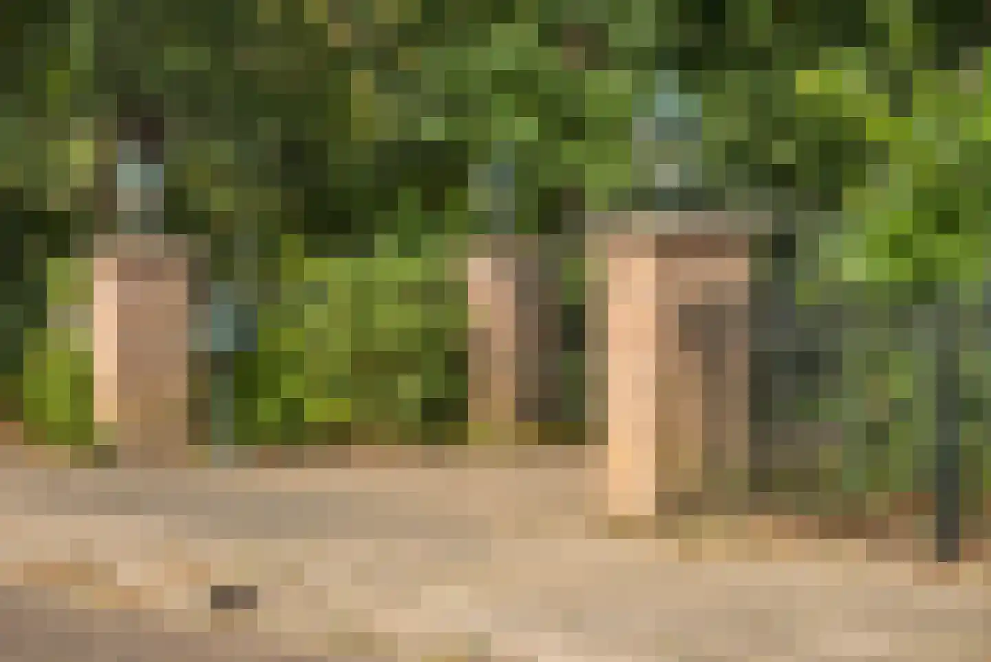 Grundelweg 11 Hengelo thumbnail 77
