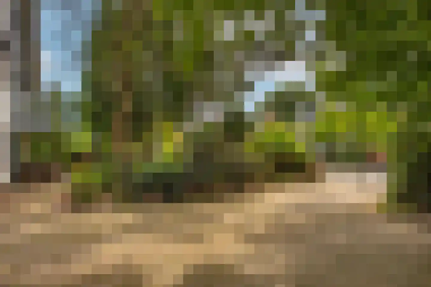 Grundelweg 11 Hengelo thumbnail 9