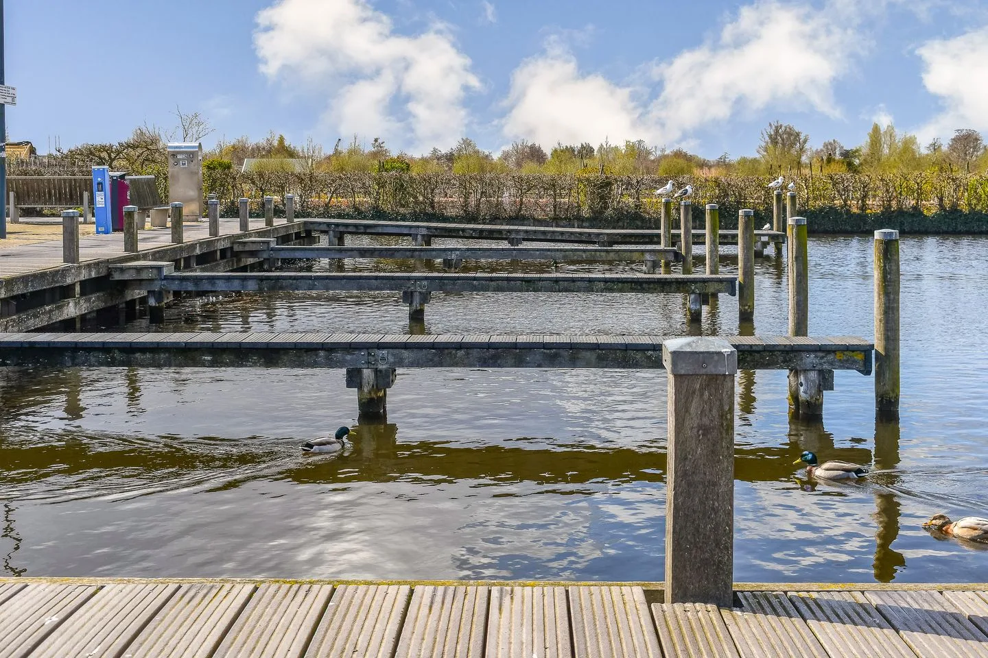 Grundelweg 43 Aalsmeer thumbnail 45