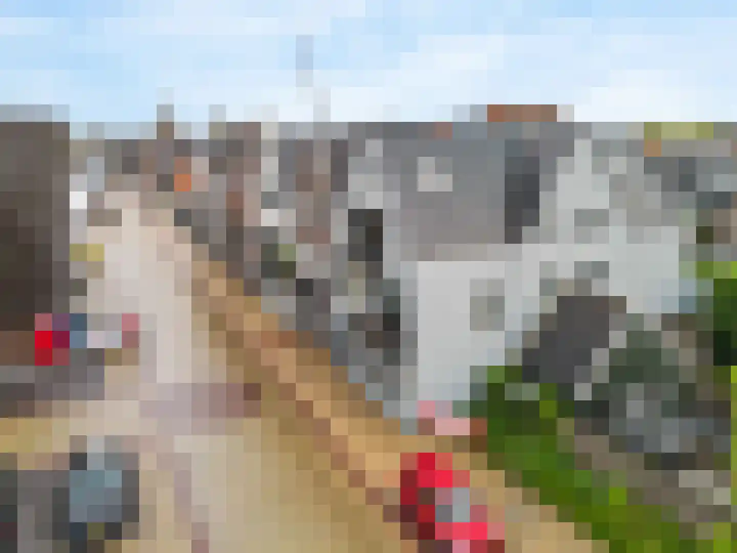 Grundelweg 45 Aalsmeer thumbnail 34