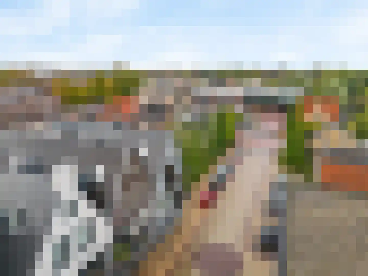 Grundelweg 45 Aalsmeer thumbnail 35
