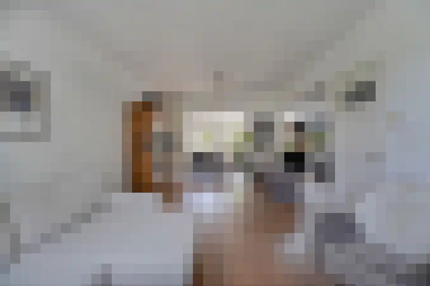 Grunerielaan 24 Oegstgeest thumbnail 11
