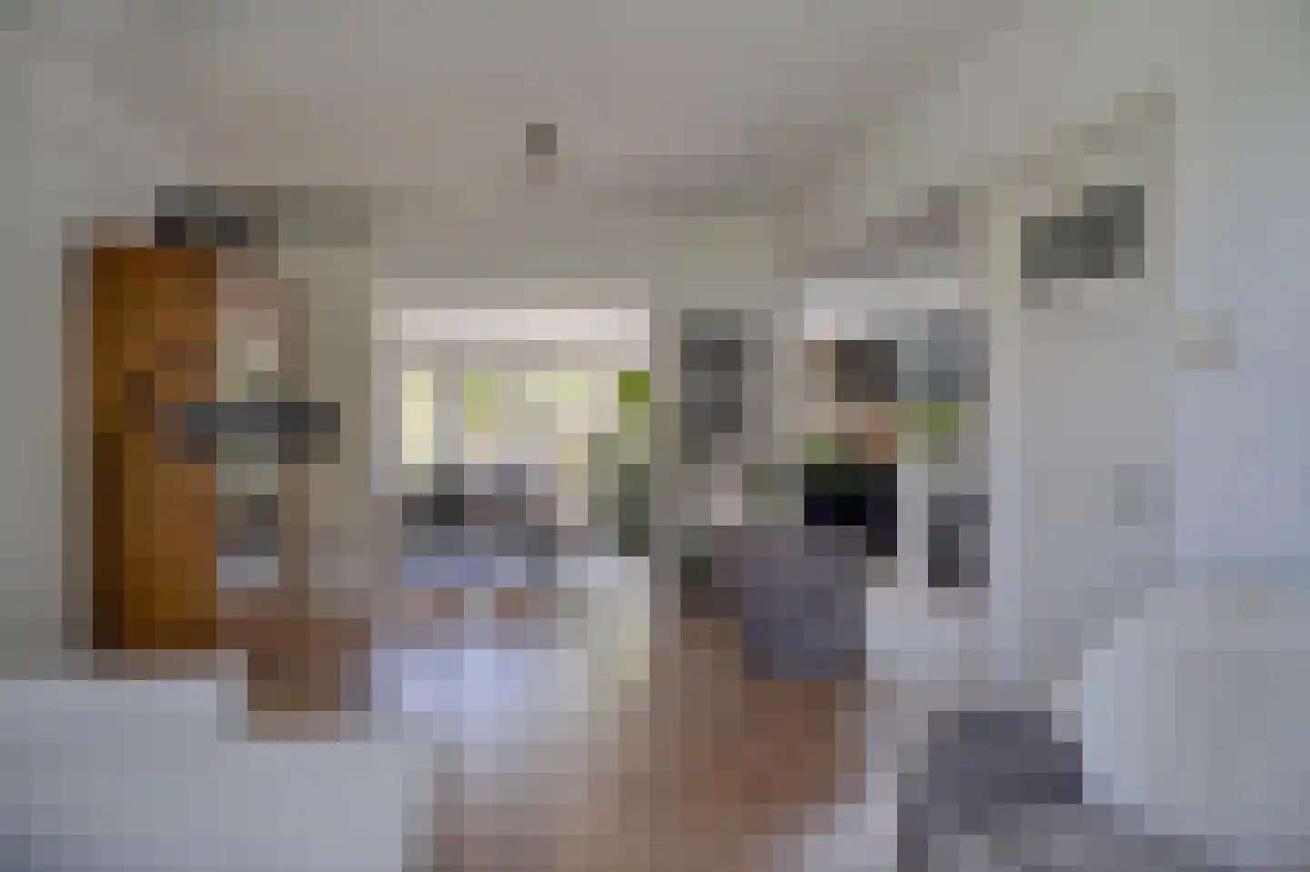 Grunerielaan 24 Oegstgeest thumbnail 12