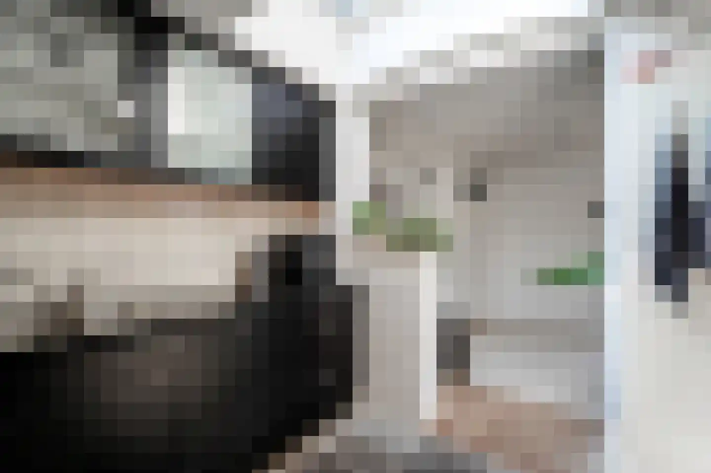 Grunerielaan 24 Oegstgeest thumbnail 15