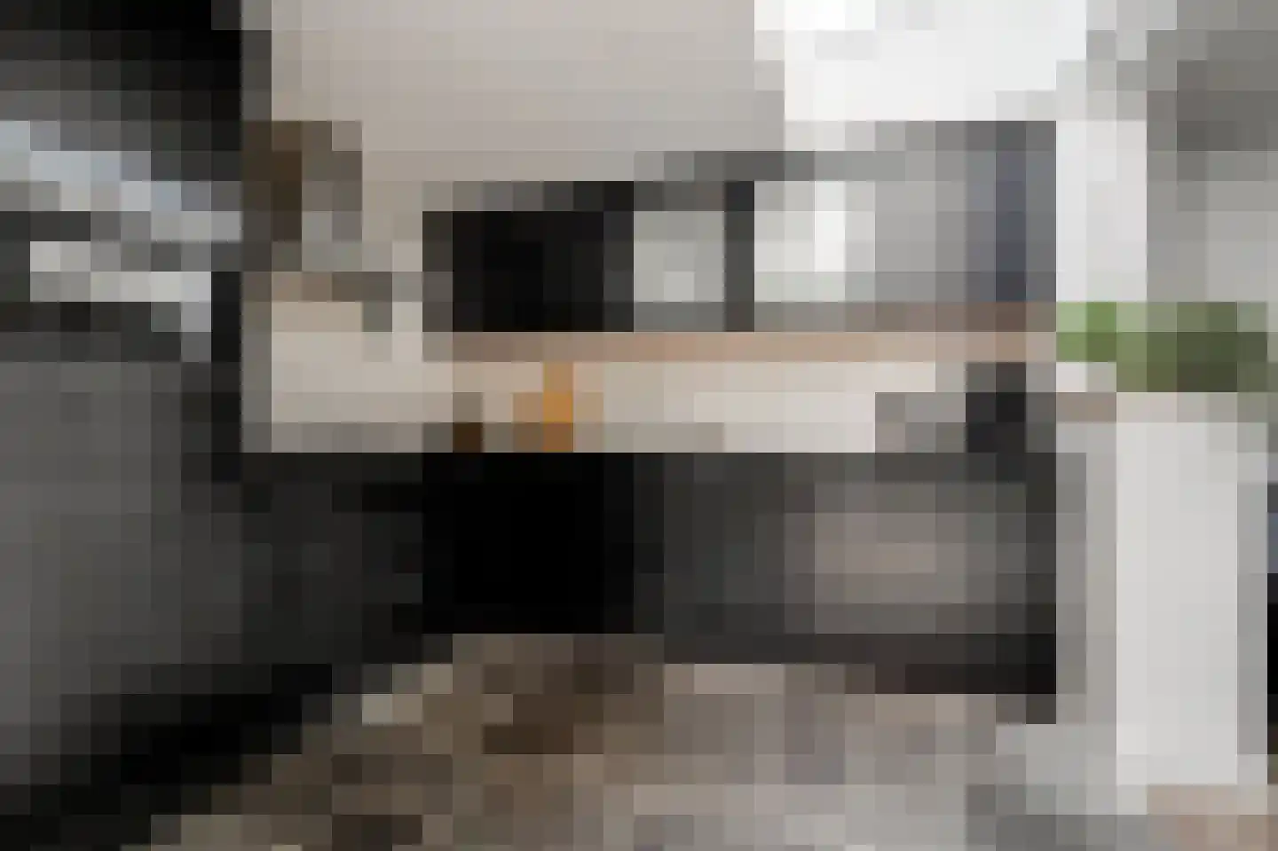 Grunerielaan 24 Oegstgeest thumbnail 16