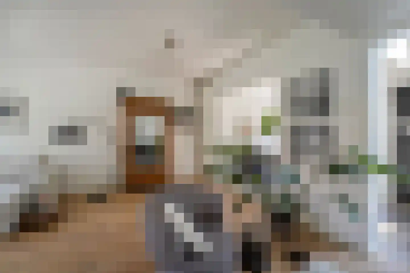 Grunerielaan 24 Oegstgeest thumbnail 17