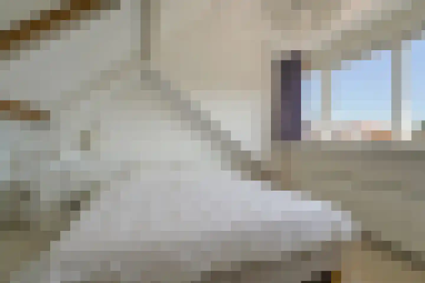 Grunerielaan 24 Oegstgeest thumbnail 30