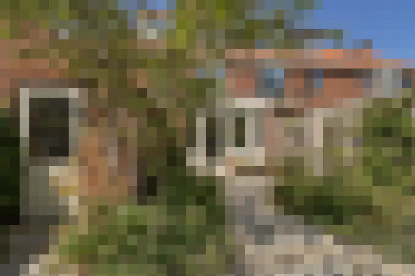 Grunerielaan 24 Oegstgeest thumbnail 35