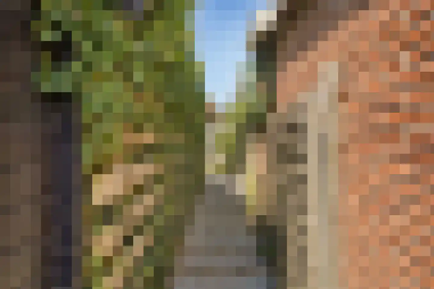 Grunerielaan 24 Oegstgeest thumbnail 39