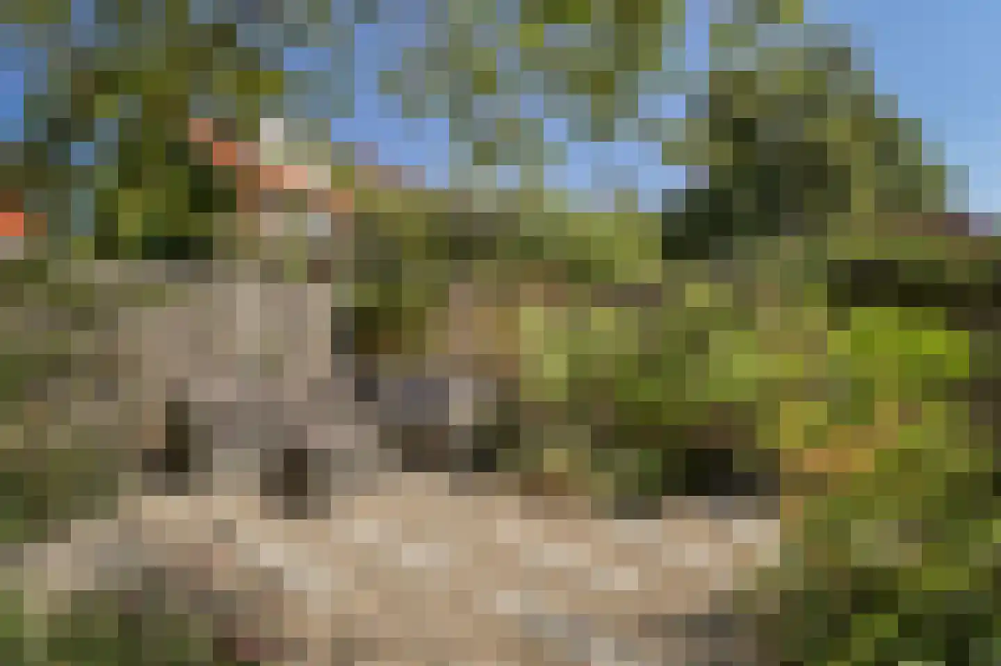 Grunerielaan 24 Oegstgeest thumbnail 4