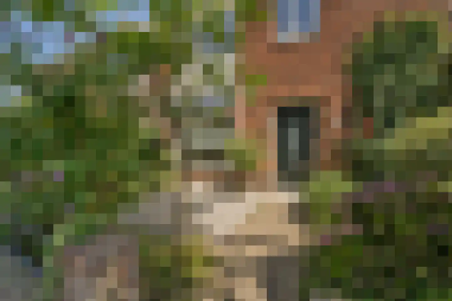 Grunerielaan 24 Oegstgeest thumbnail 7