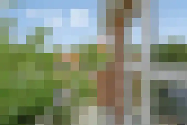 Grunerielaan 44 Oegstgeest thumbnail 23
