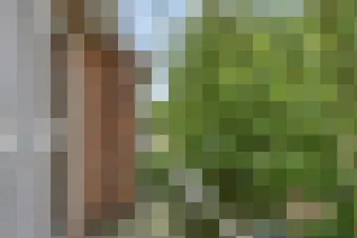 Grunerielaan 44 Oegstgeest thumbnail 24