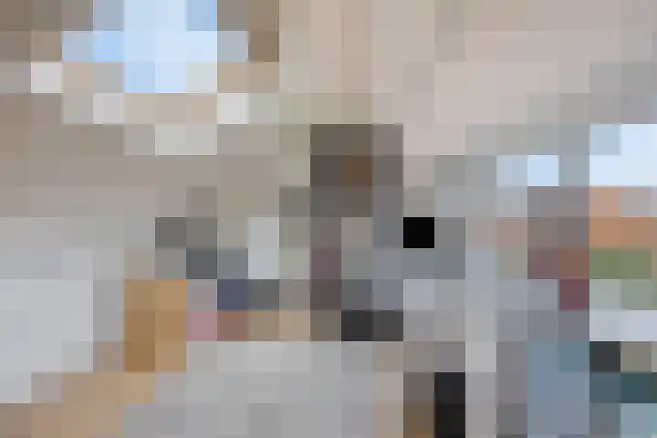 Grunerielaan 44 Oegstgeest thumbnail 31