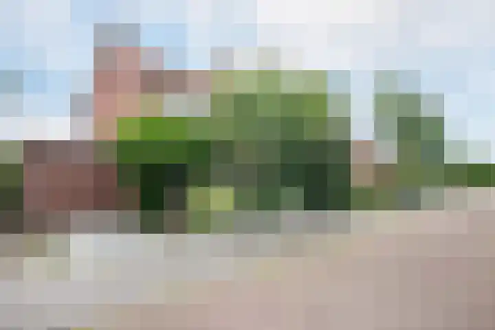 Grunerielaan 44 Oegstgeest thumbnail 36